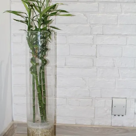 Przy Starym Rynku Apartment *