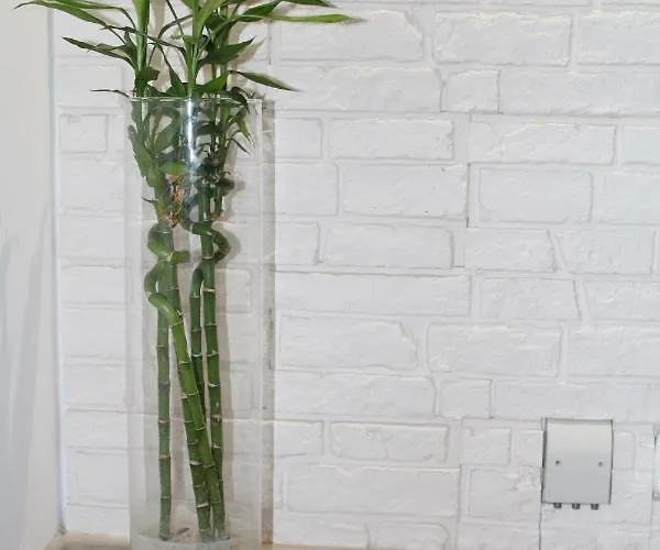 Przy Starym Rynku Apartment *